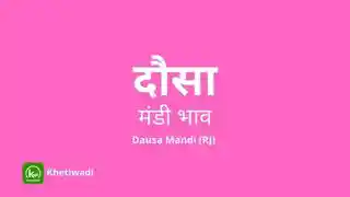 Dausa Mandi - दौसा मंडी मंडी भाव