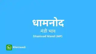 Dhamnod Mandi - धामनोद मंडी मंडी भाव