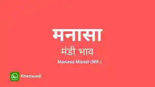 Manasa Mandi - मनासा मंडी मंडी भाव