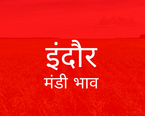 Indore Mandi - इंदौर मंडी मंडी भाव 10-05-2022