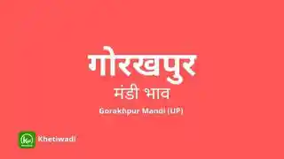 Gorakhpur Mandi thumbnail