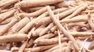 अश्वगंधा - Mandi rate today