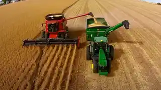 नया सोयाबीन - Mandi rate today