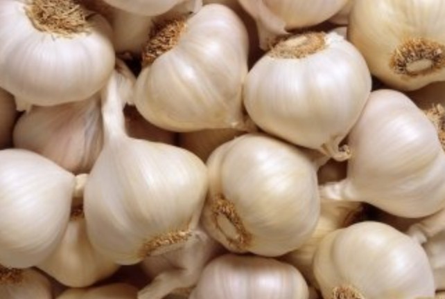 नया देशी लहसुन