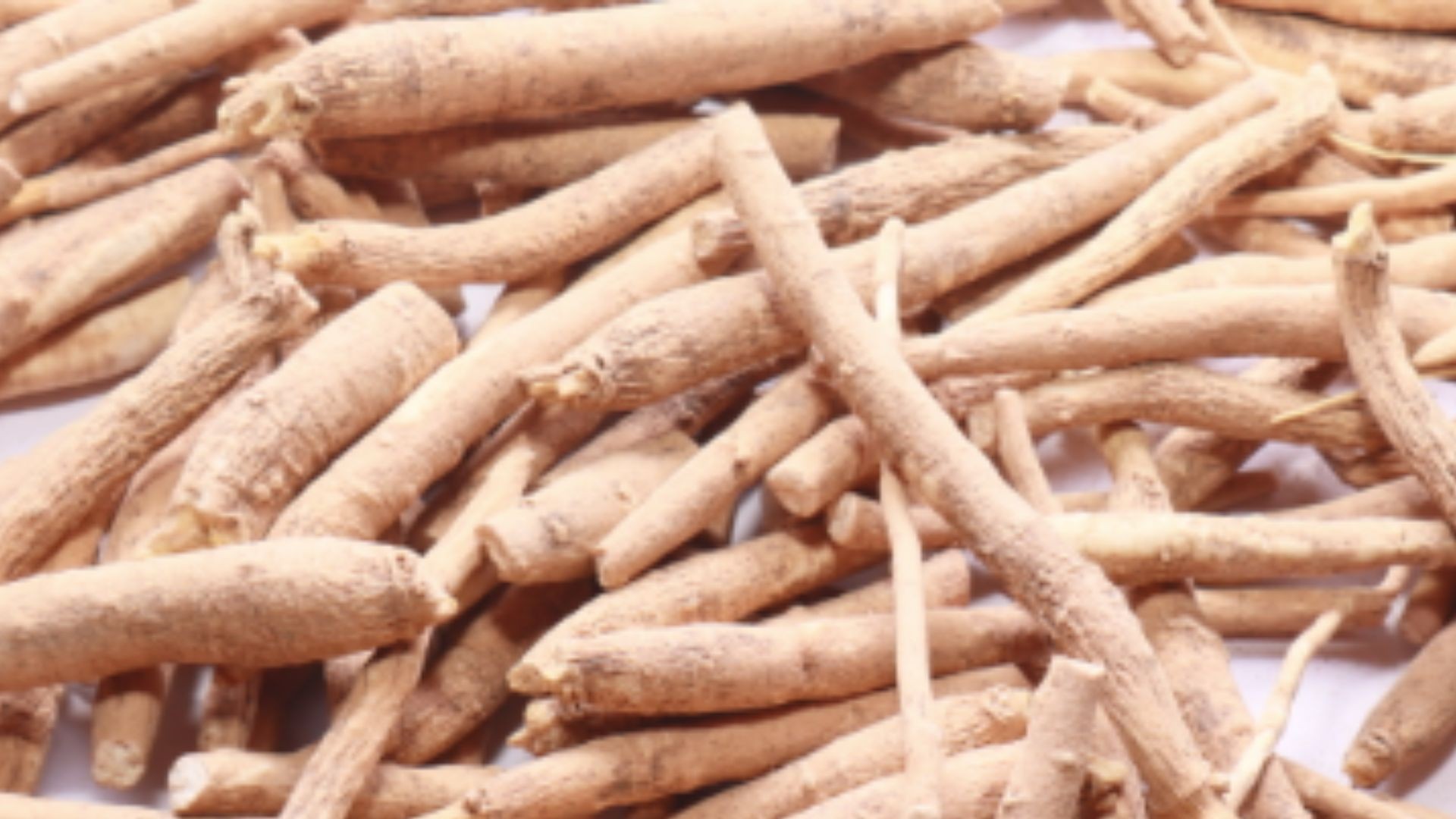 अश्वगंधा