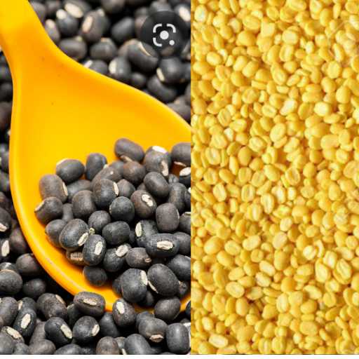 अब किसान एक दिन में बेच सकेंगे 40 क्विंटल उड़द और मूंग