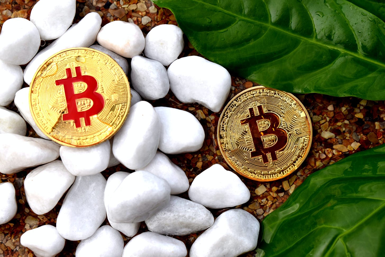 Đầu tư crypto có phải một nghề không?