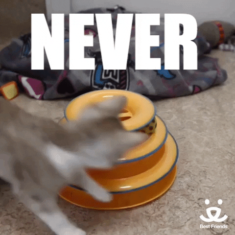 never give up