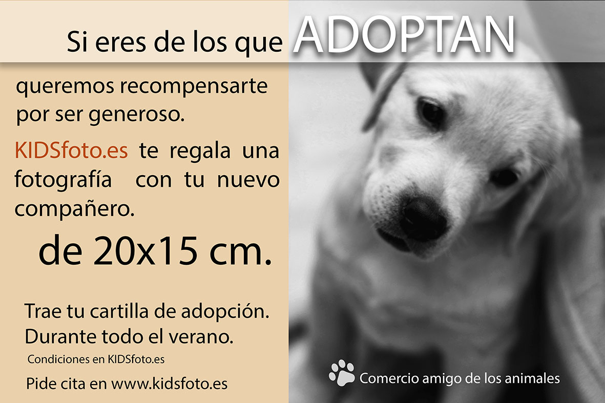 kidsfoto.es Fotógrafo Amigo de los animales en Zaragoza mascotas en zaragoza labrador retriever fotografo de niños fotografia niños zaragoza fotografía infantil fotografia documental niños felicidad estudio amigo de los animales kidsfoto.es Fotógrafo Amigo de los animales en Zaragoza mascotas en zaragoza labrador retriever fotografo de niños fotografia niños zaragoza fotografía infantil fotografia documental niños felicidad estudio amigo de los animales