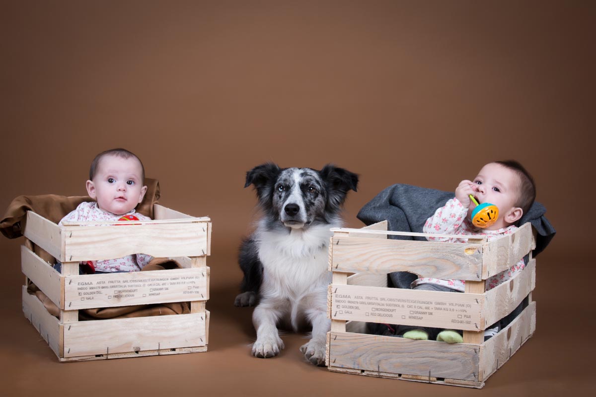 kidsfoto.es Sesión fotográfica bebé con mascota en Zaragoza, fotografía bebé sesiones fotográficas a niños mascotas en zaragoza fotografo de niños fotografia niños zaragoza fotografia documental niños fotografía bebé familia estudio bebé amigo de los animales kidsfoto.es Sesión fotográfica bebé con mascota en Zaragoza, fotografía bebé sesiones fotográficas a niños mascotas en zaragoza fotografo de niños fotografia niños zaragoza fotografia documental niños fotografía bebé familia estudio bebé amigo de los animales