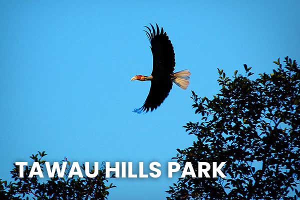 The Official Sabah Parks Website Home