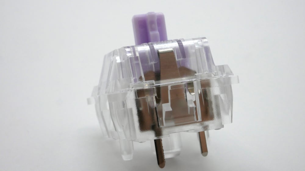 Transparent Switch Leaf Back