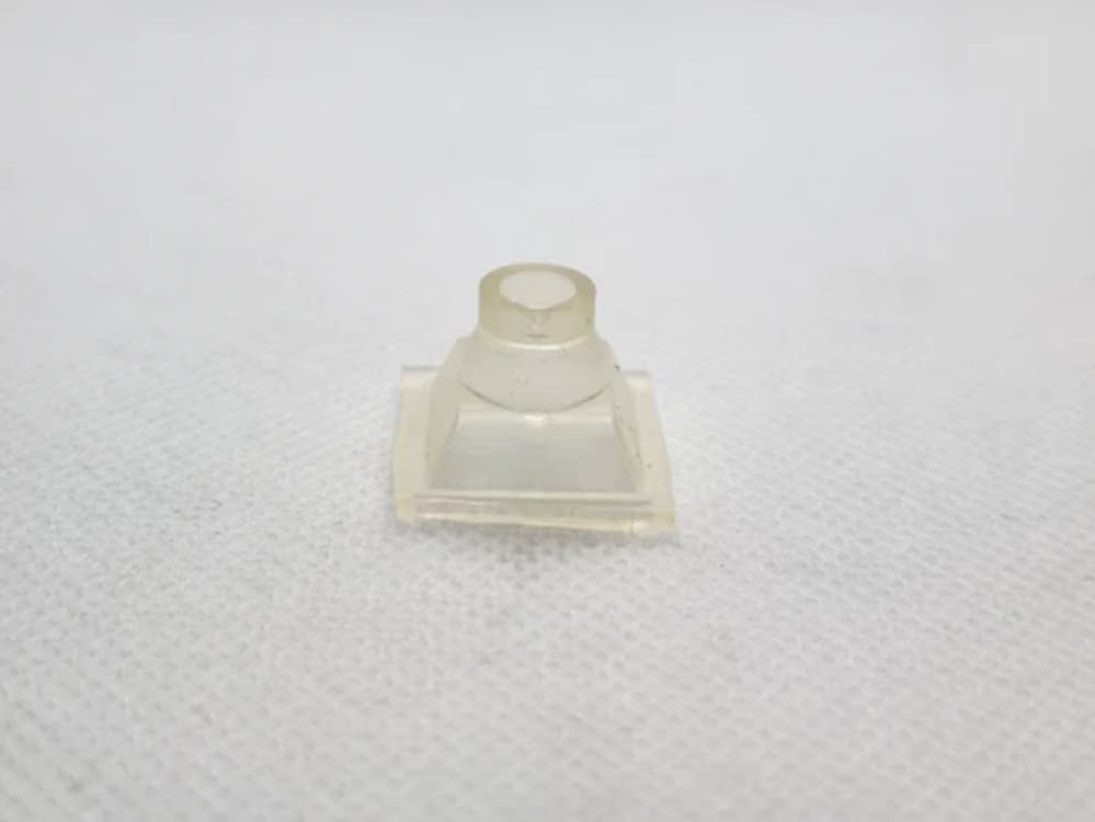 Picture of a single, harvested Copre Dome