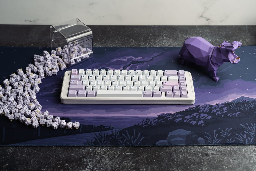 Hippo PBT Keycaps and Switches with Pixel Comet Desk Mat