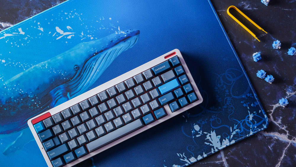 PolyCaps Whale PBT Keycaps