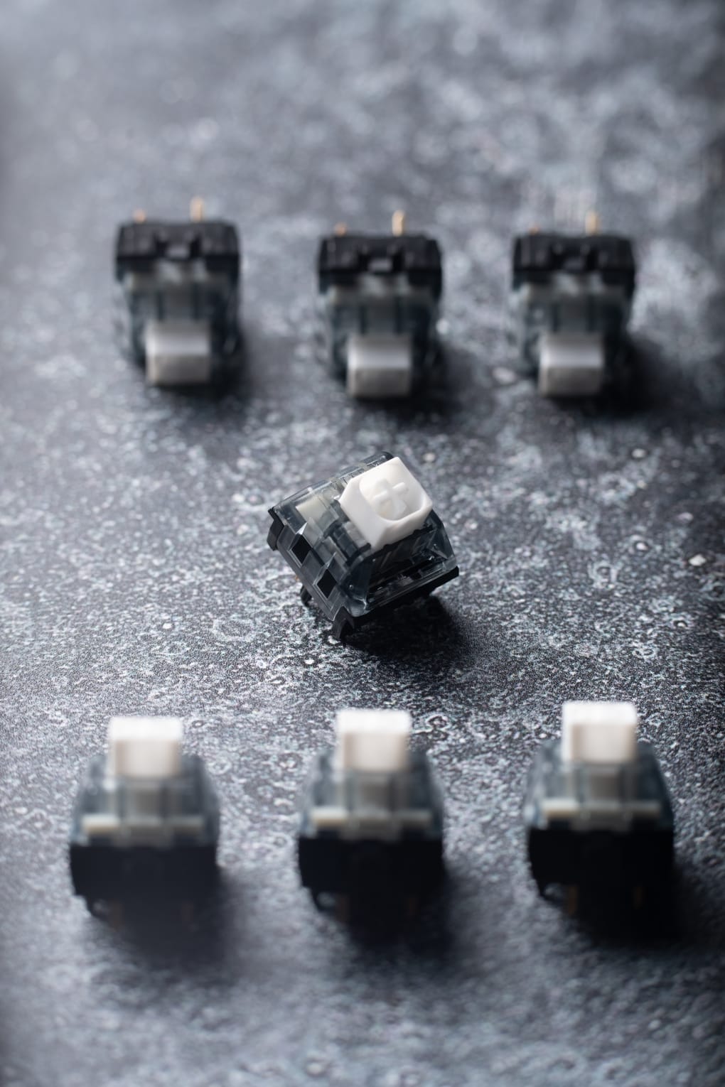 White v2 sales
