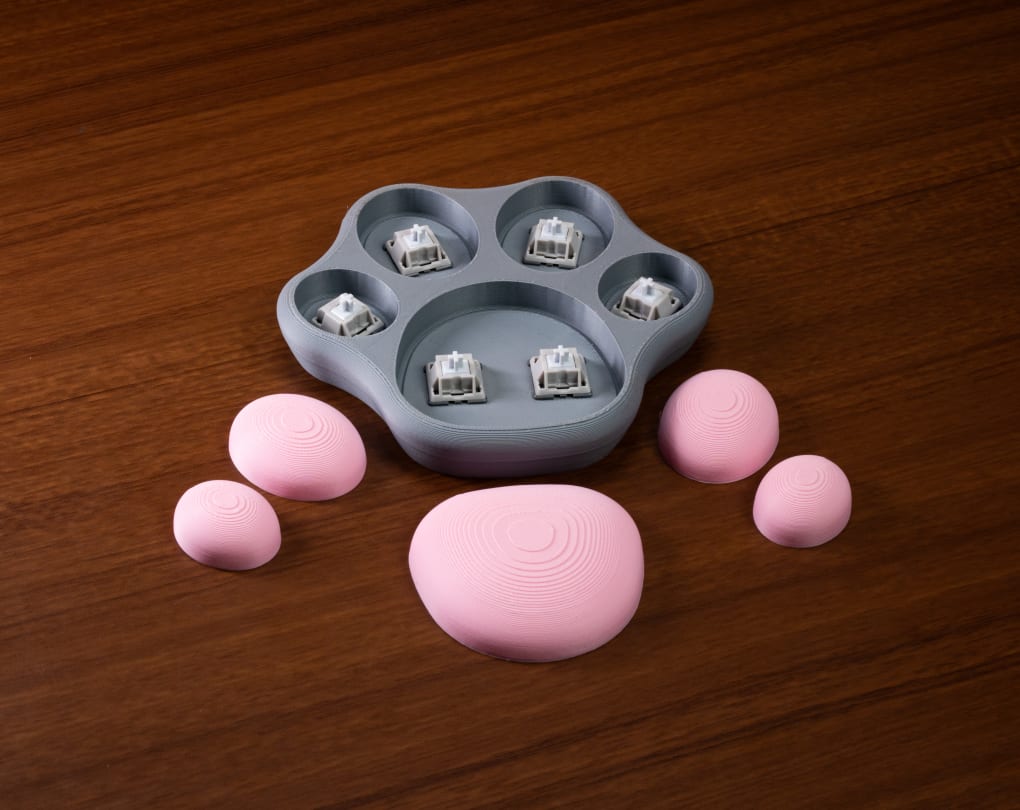 Cat Paw Switch Fidget