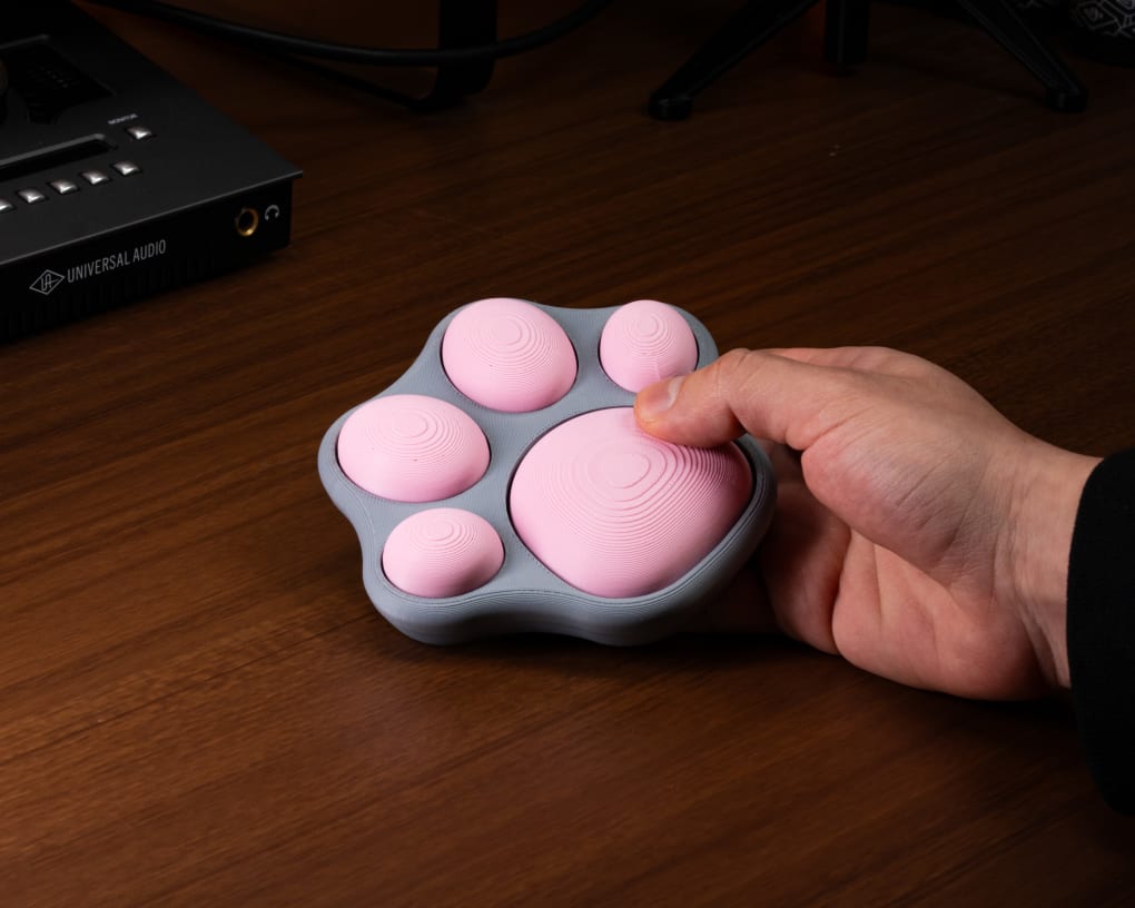 Cat Paw Switch Fidget