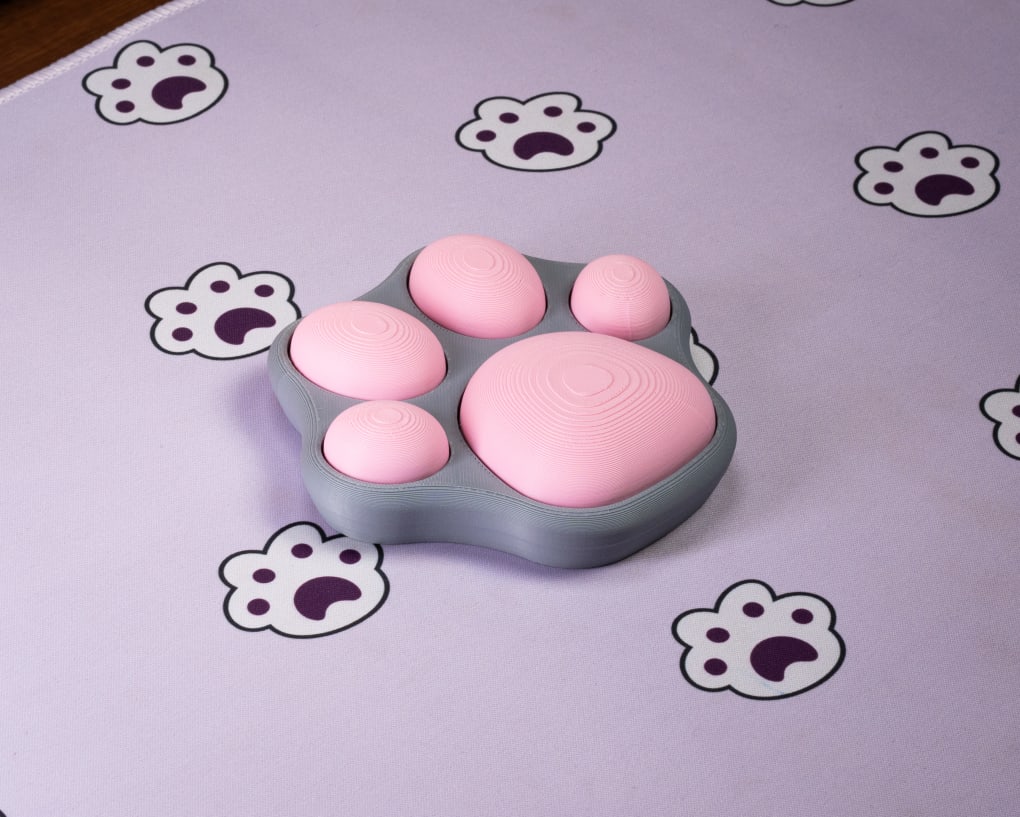 Cat Paw Switch Fidget