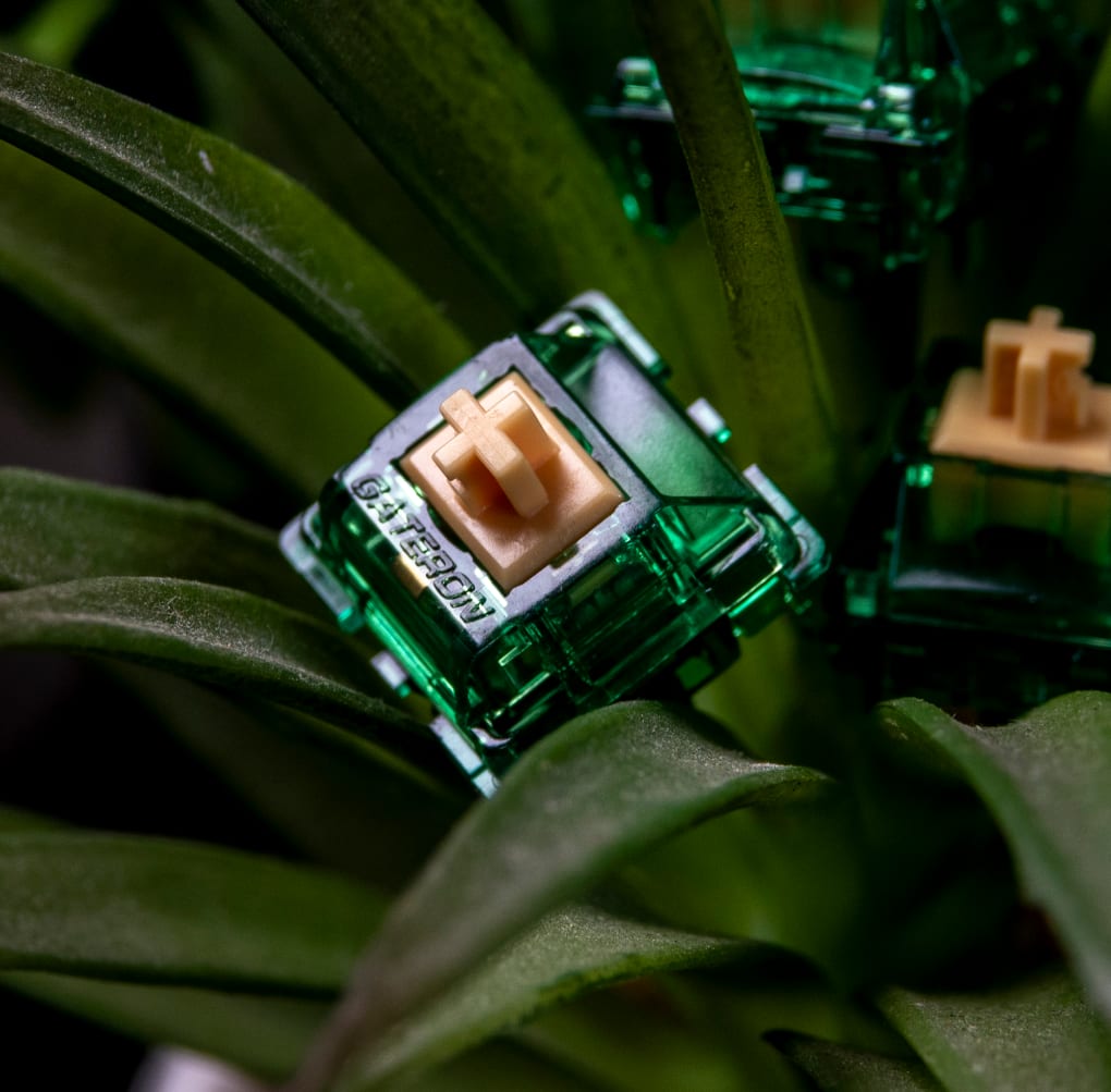 Gateron Beer Tactile Switches