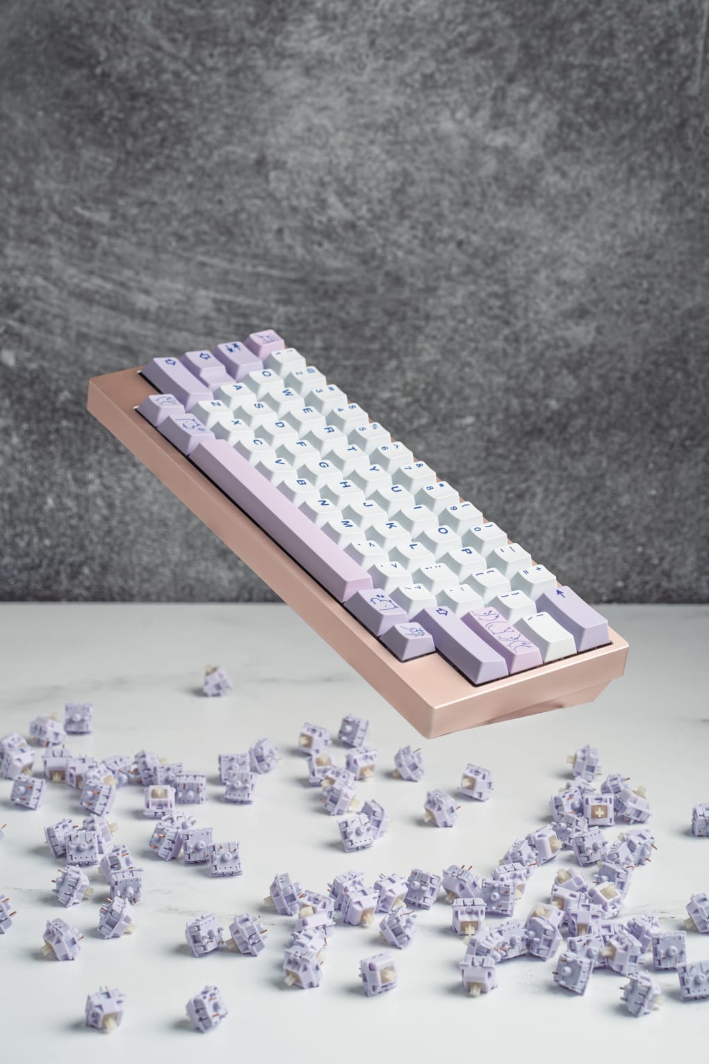 Hippo PBT Keycaps by HipyoTech and PolyCaps