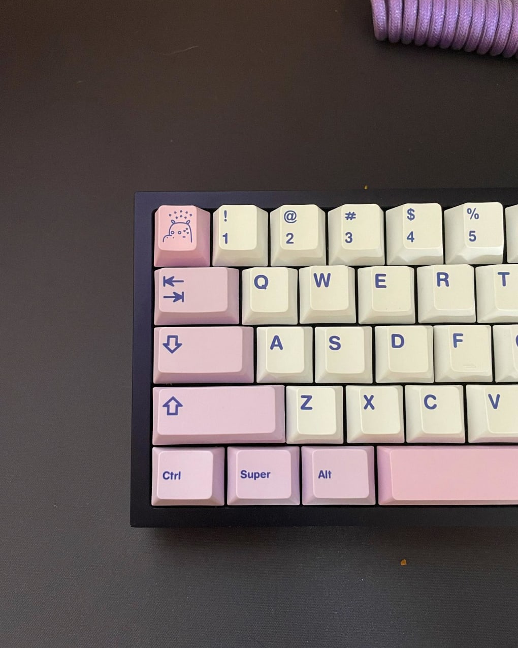 Hippo PBT Keycaps  