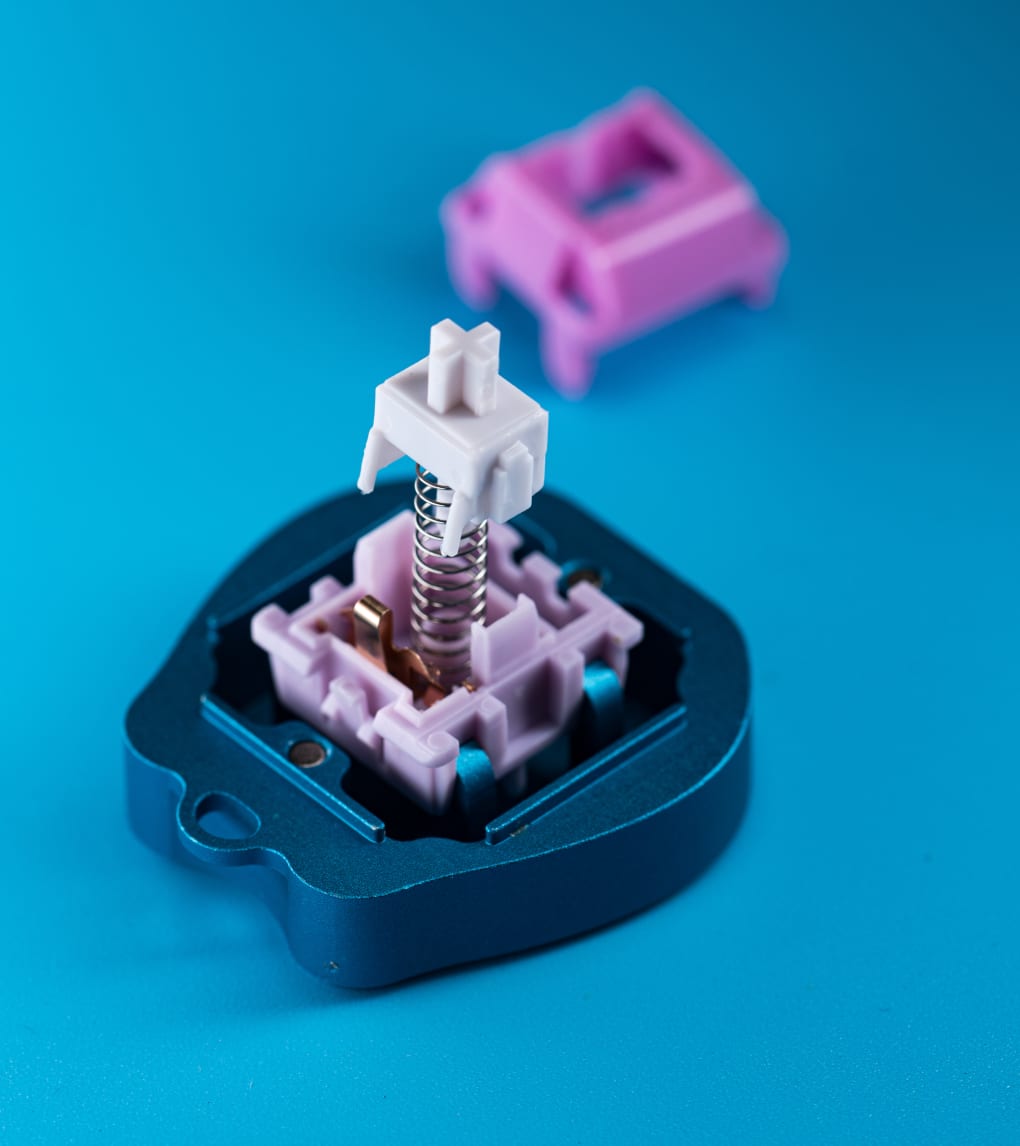 HMX Hibiscus Switches