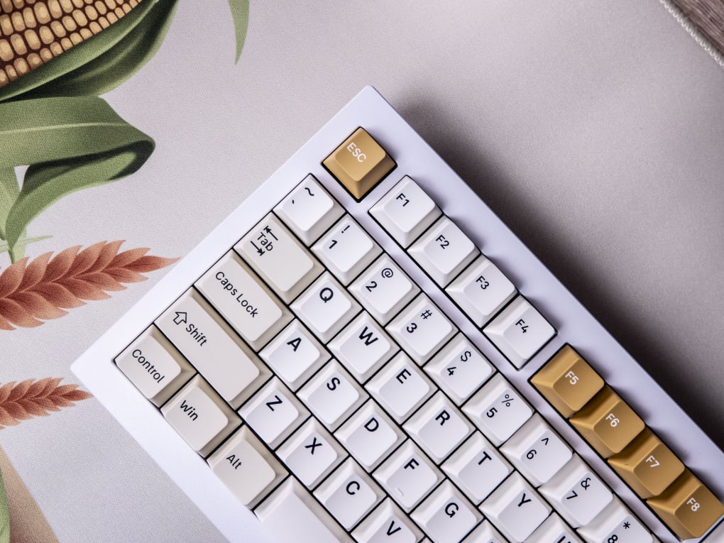 Cherry Profile Double - Shot PBT Full Set Keycaps - Camel – Keychron