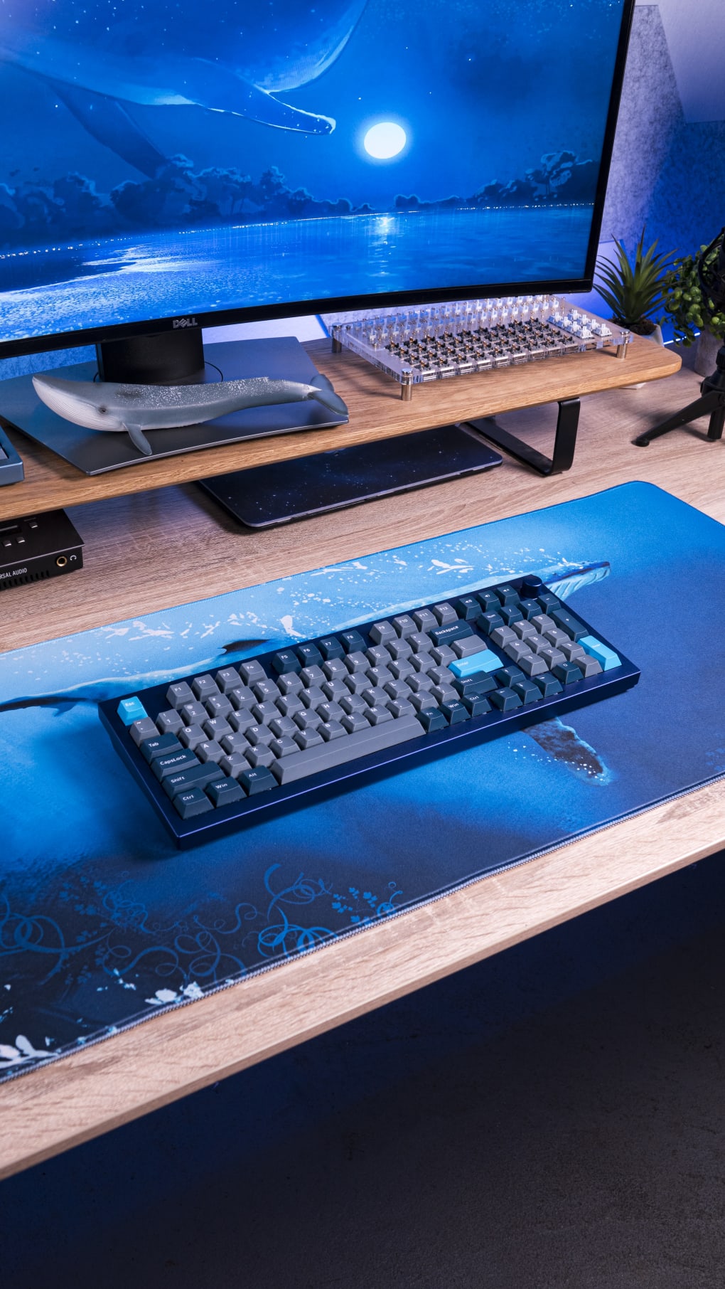 Keychron Blue Q5 mechanical keyboard