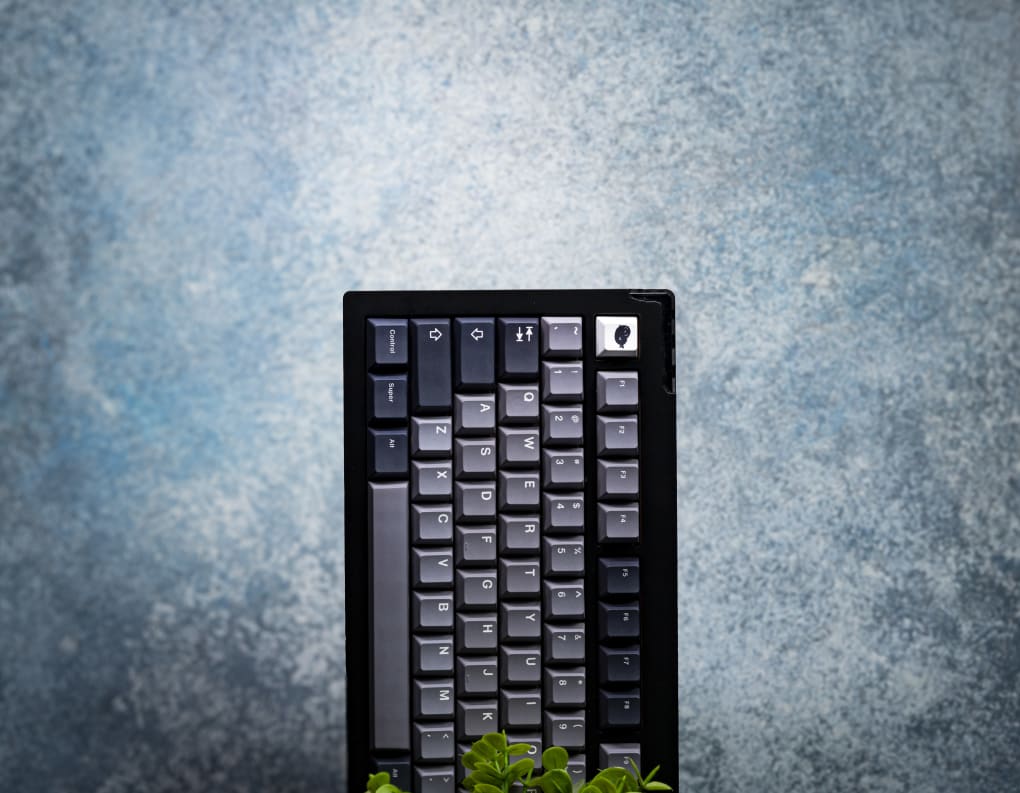 Seal PBT Keycaps V4