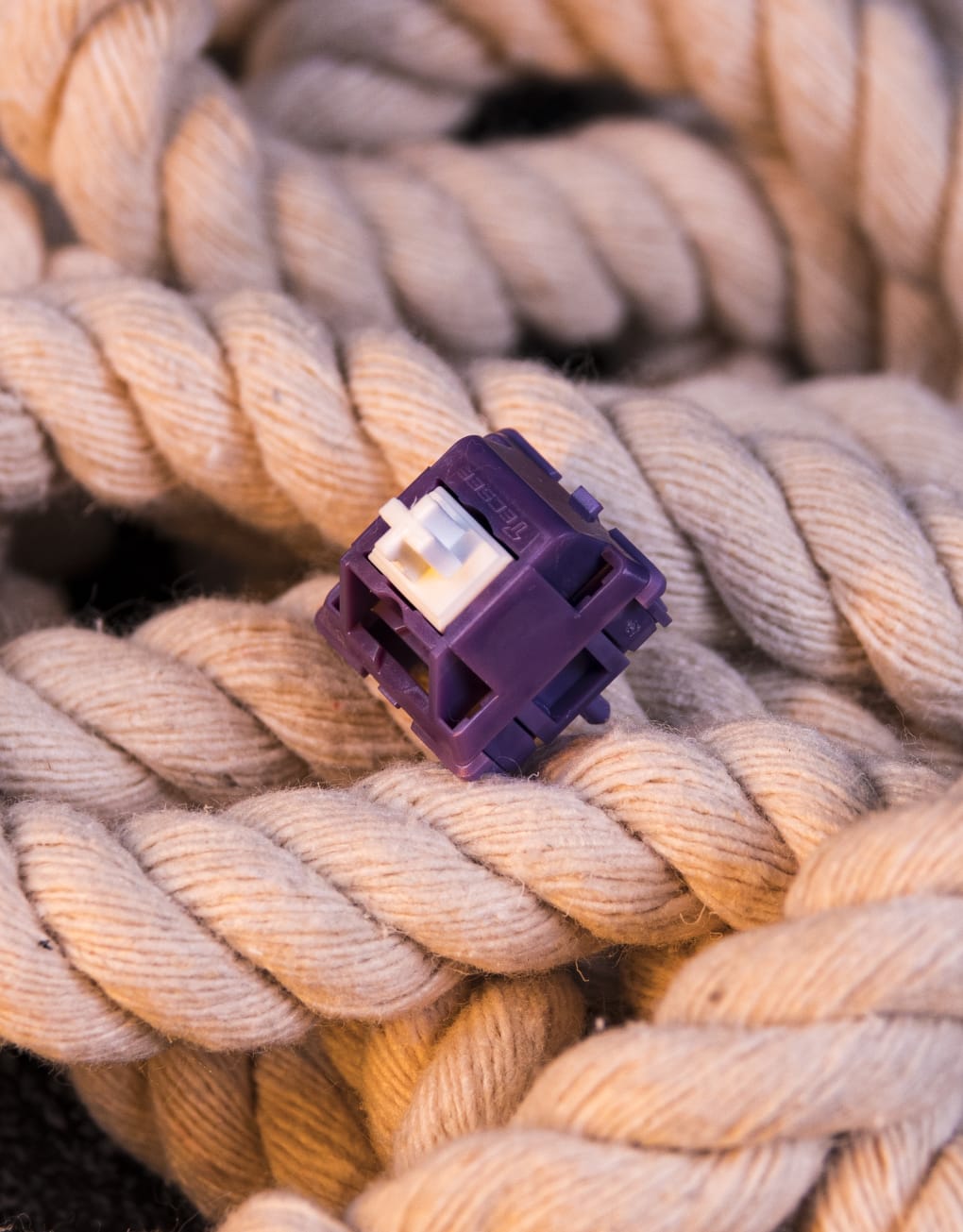 Tecsee Purple Panda Tactile Switches