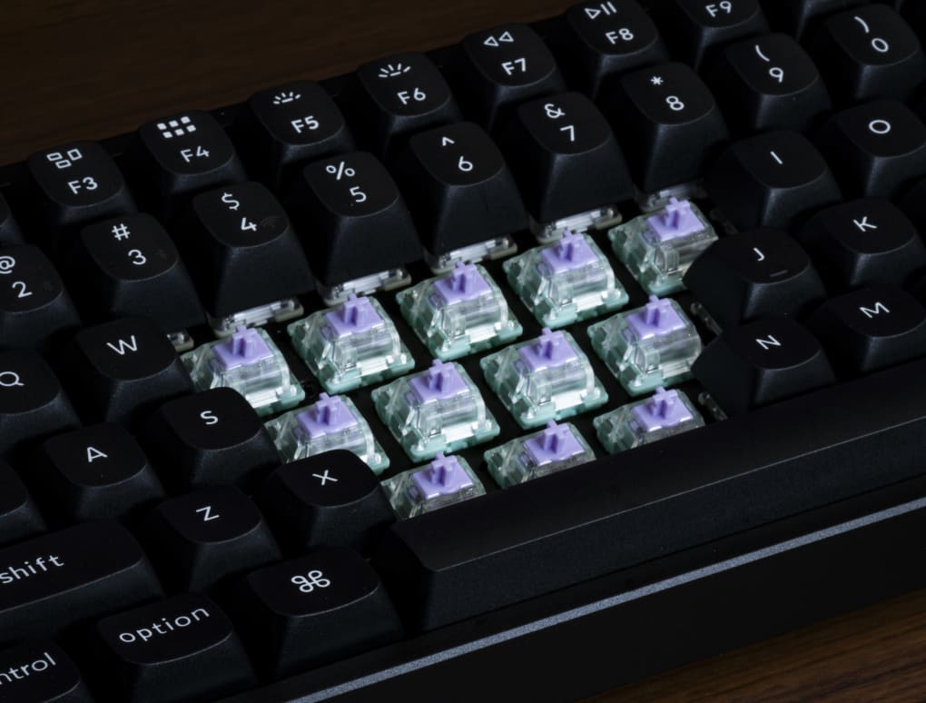 WS Dash HE Switches