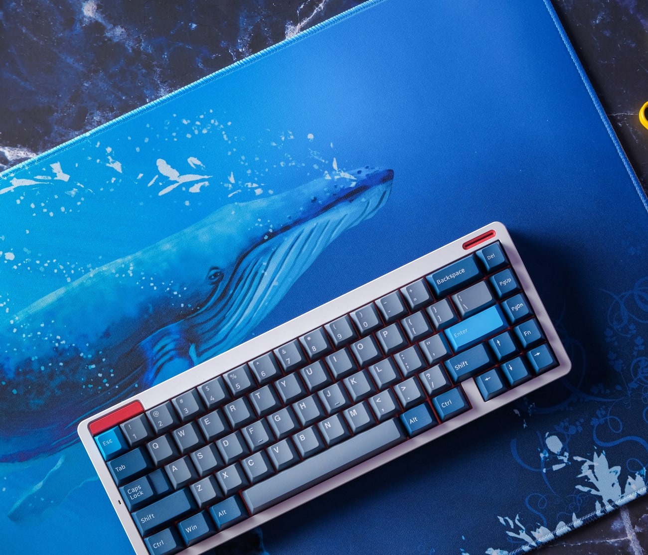 Blue Whale XL Desk Mat Mouse Pad