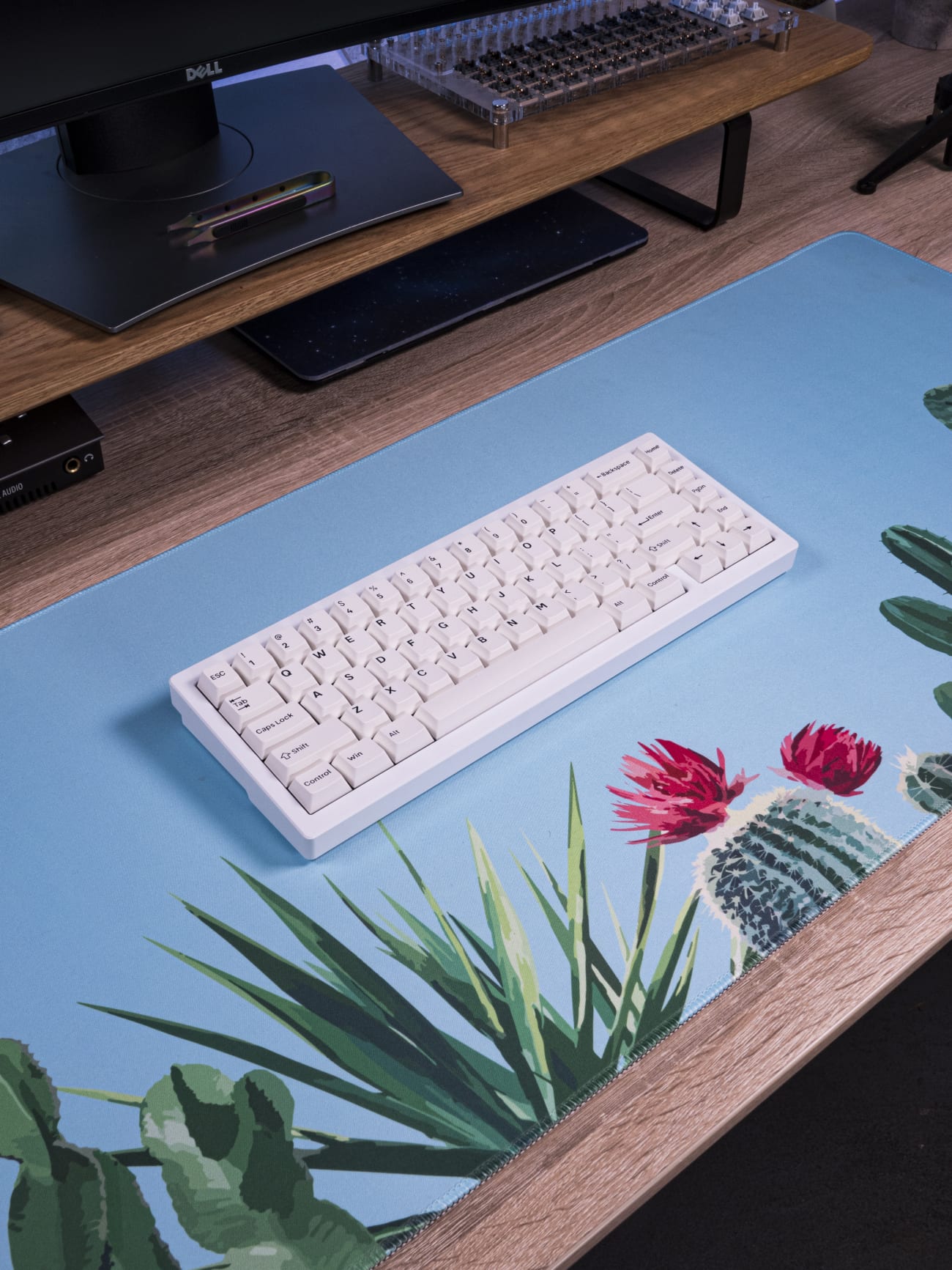 Cactus Desk Mat