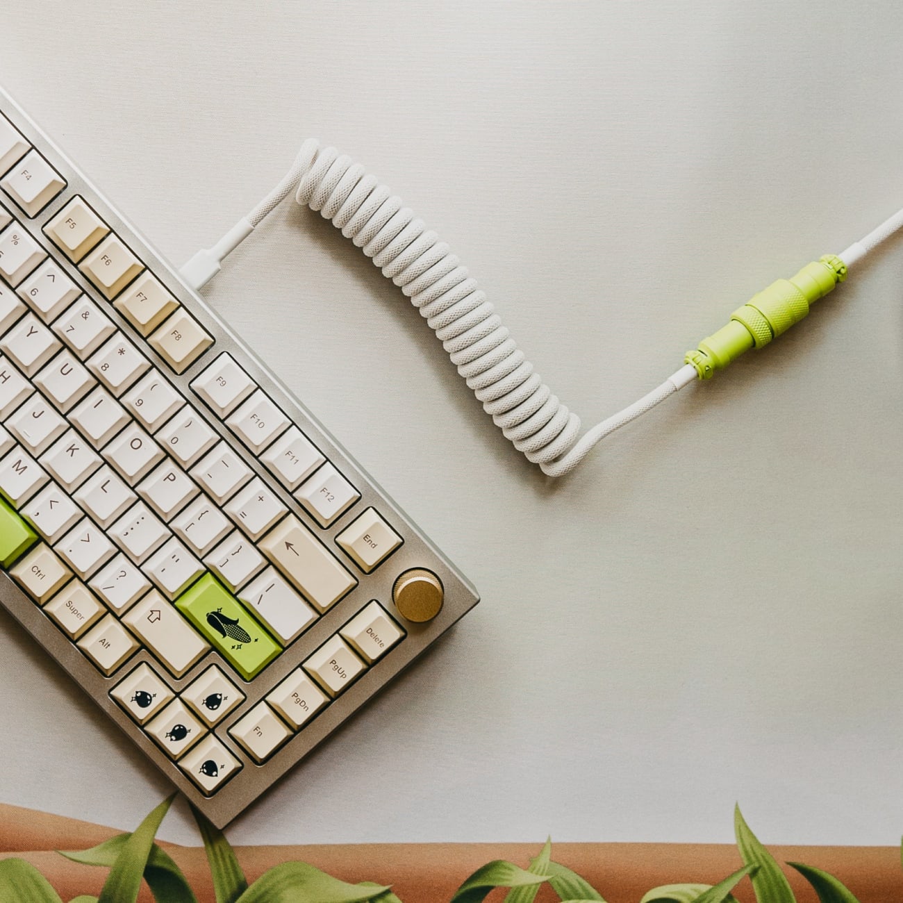 Corn Coiled Cable 