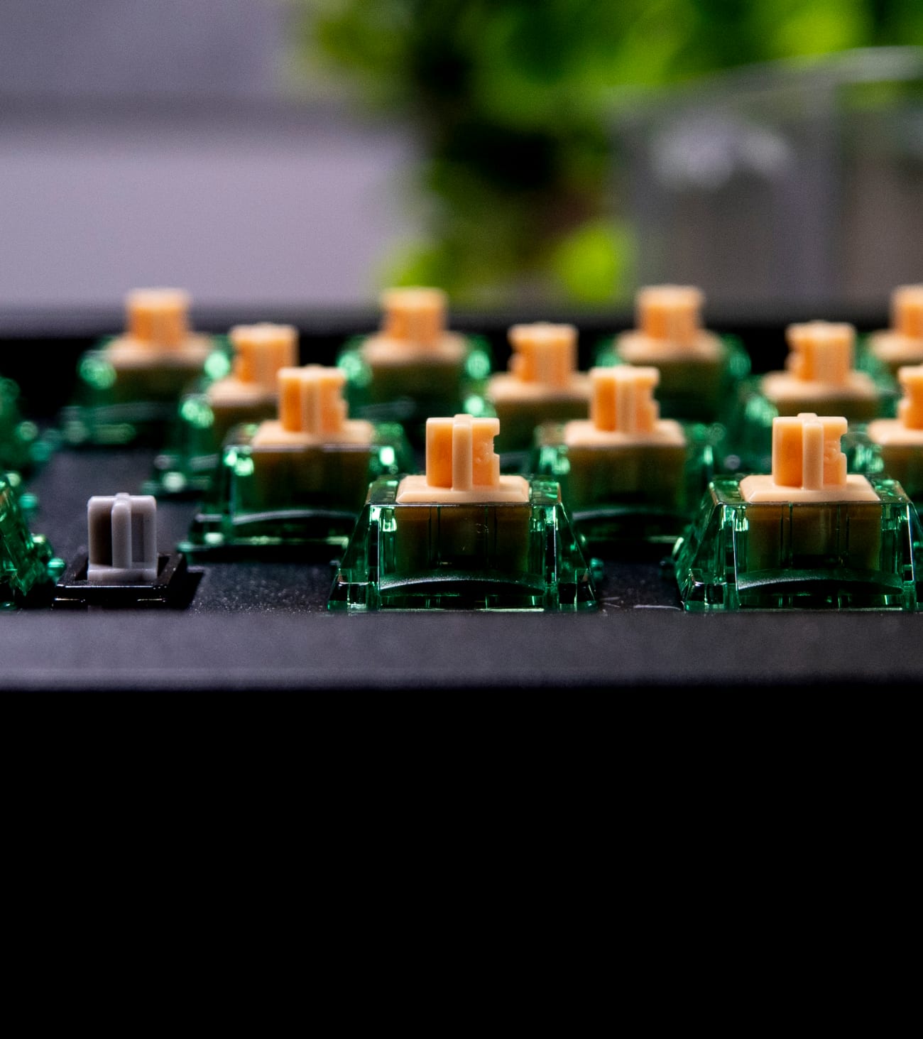 Gateron Beer Tactile Switches