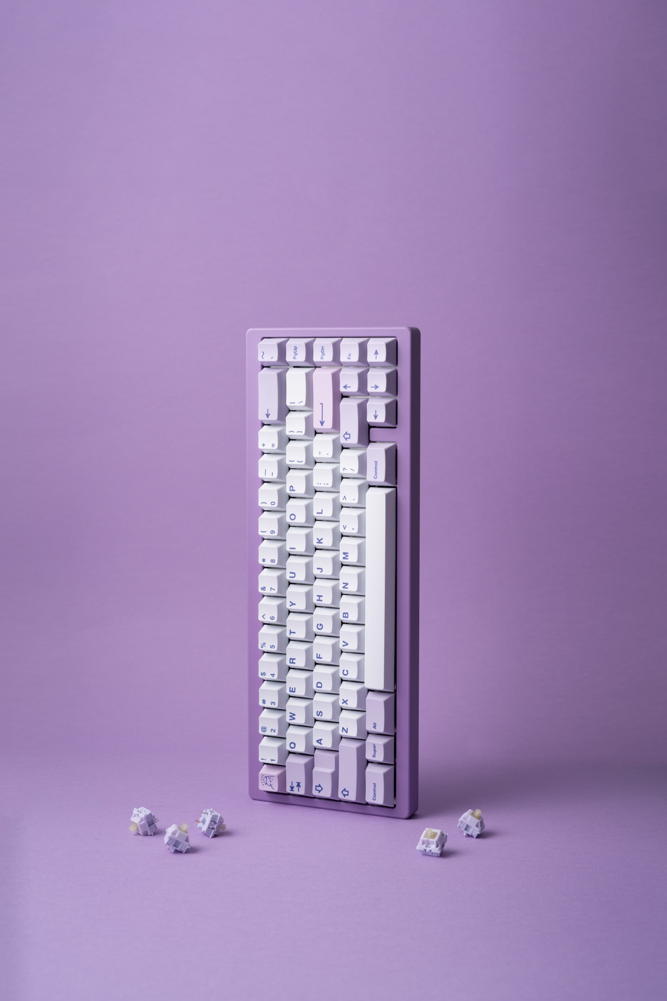 Hippo PBT Keycaps by HipyoTech