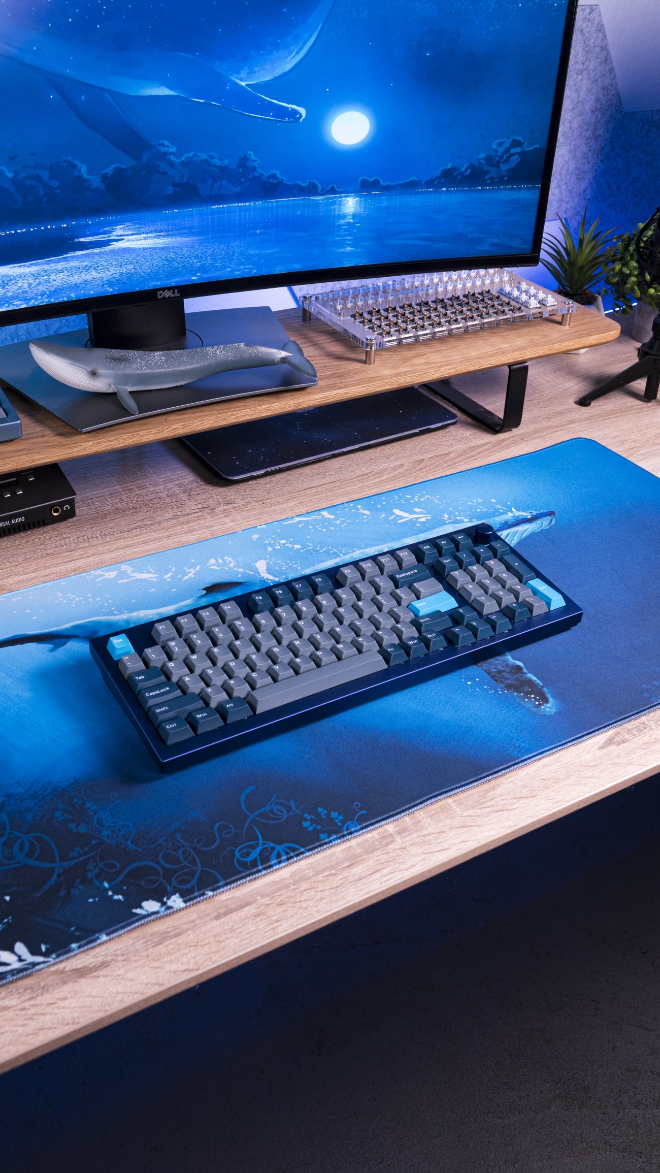 Keychron Blue Q5 mechanical keyboard