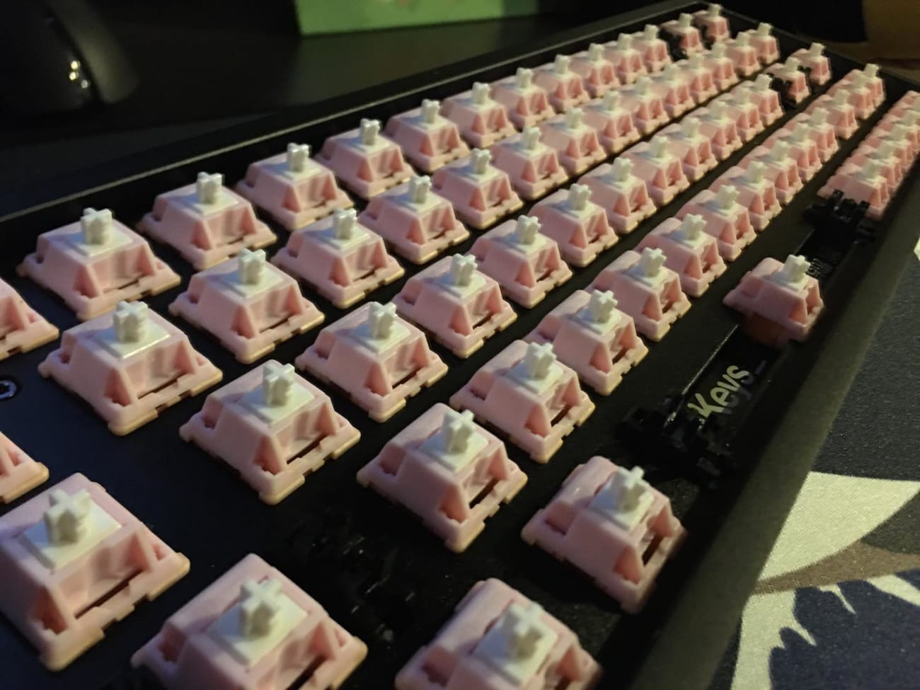 Salmon Switches 