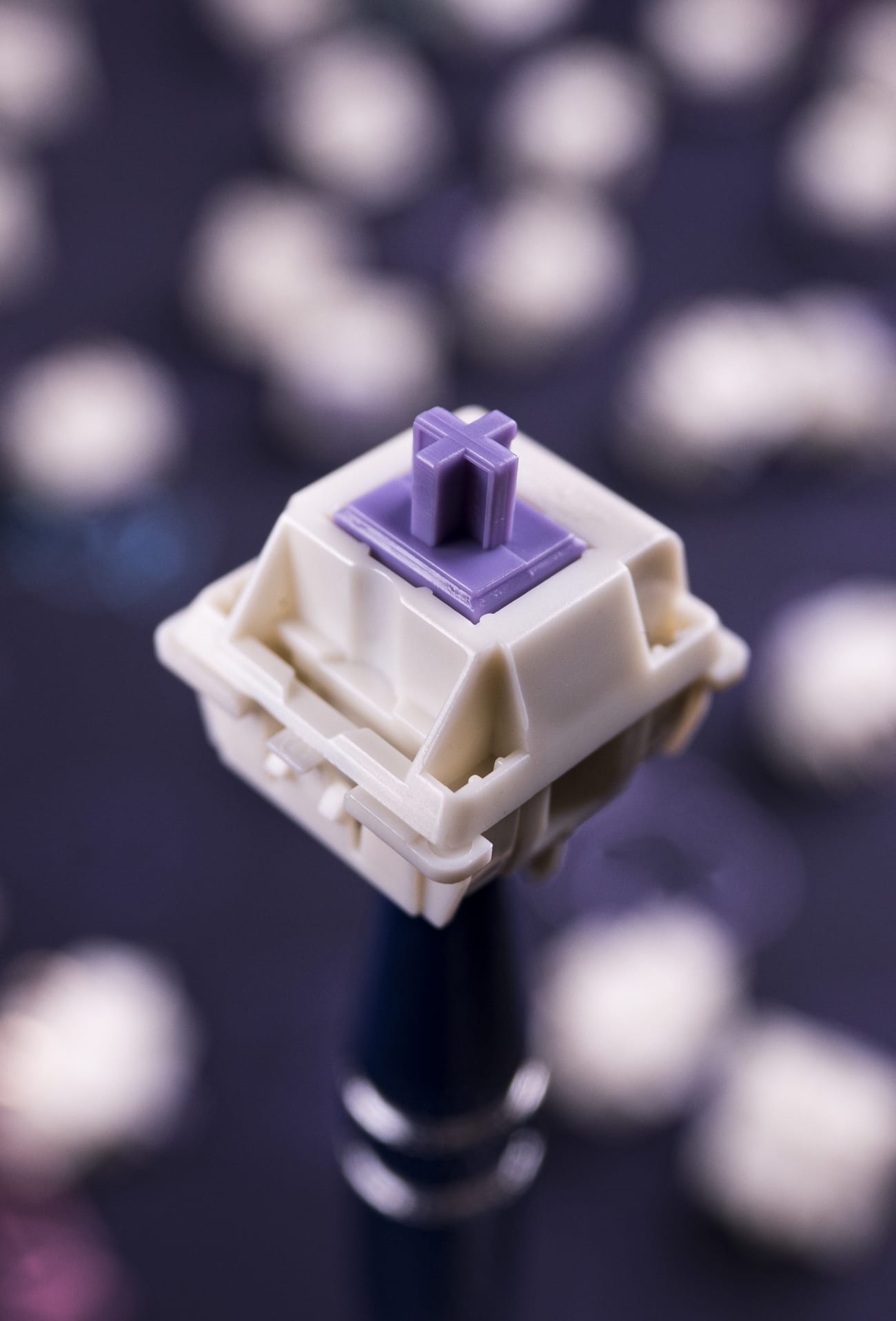 SP-Star Polaris Purple Tactile Switches