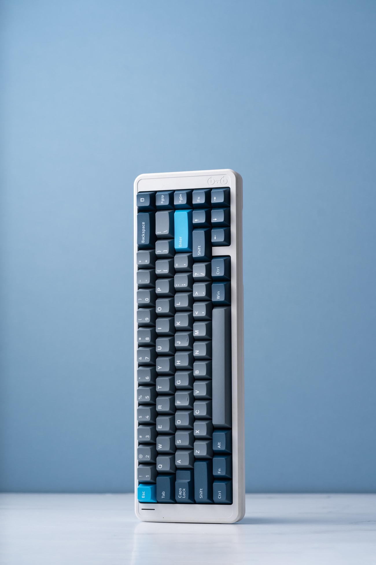 PolyCaps Whale Doubleshot PBT Keycaps Labs