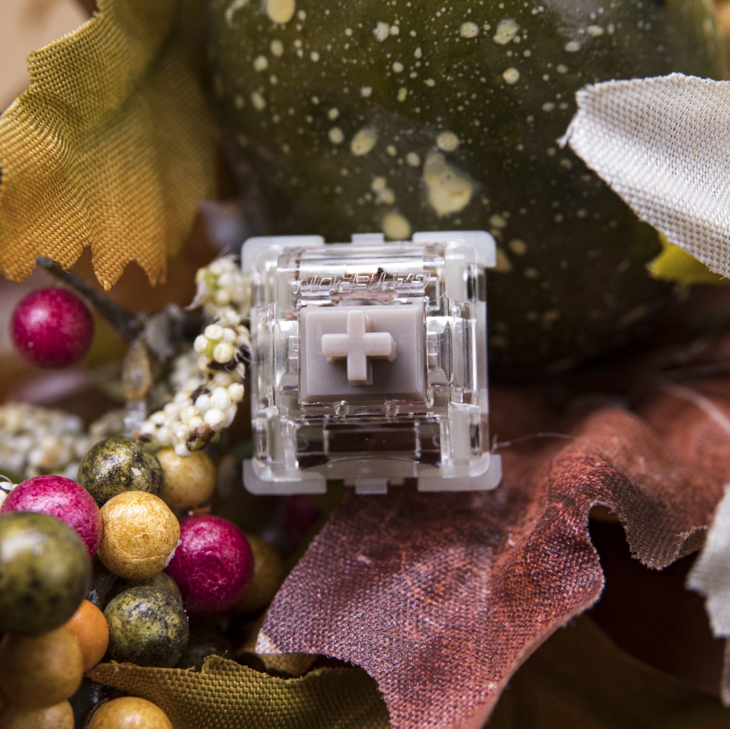 Gateron Baby Raccoon Linear Switches | Kinetic Labs