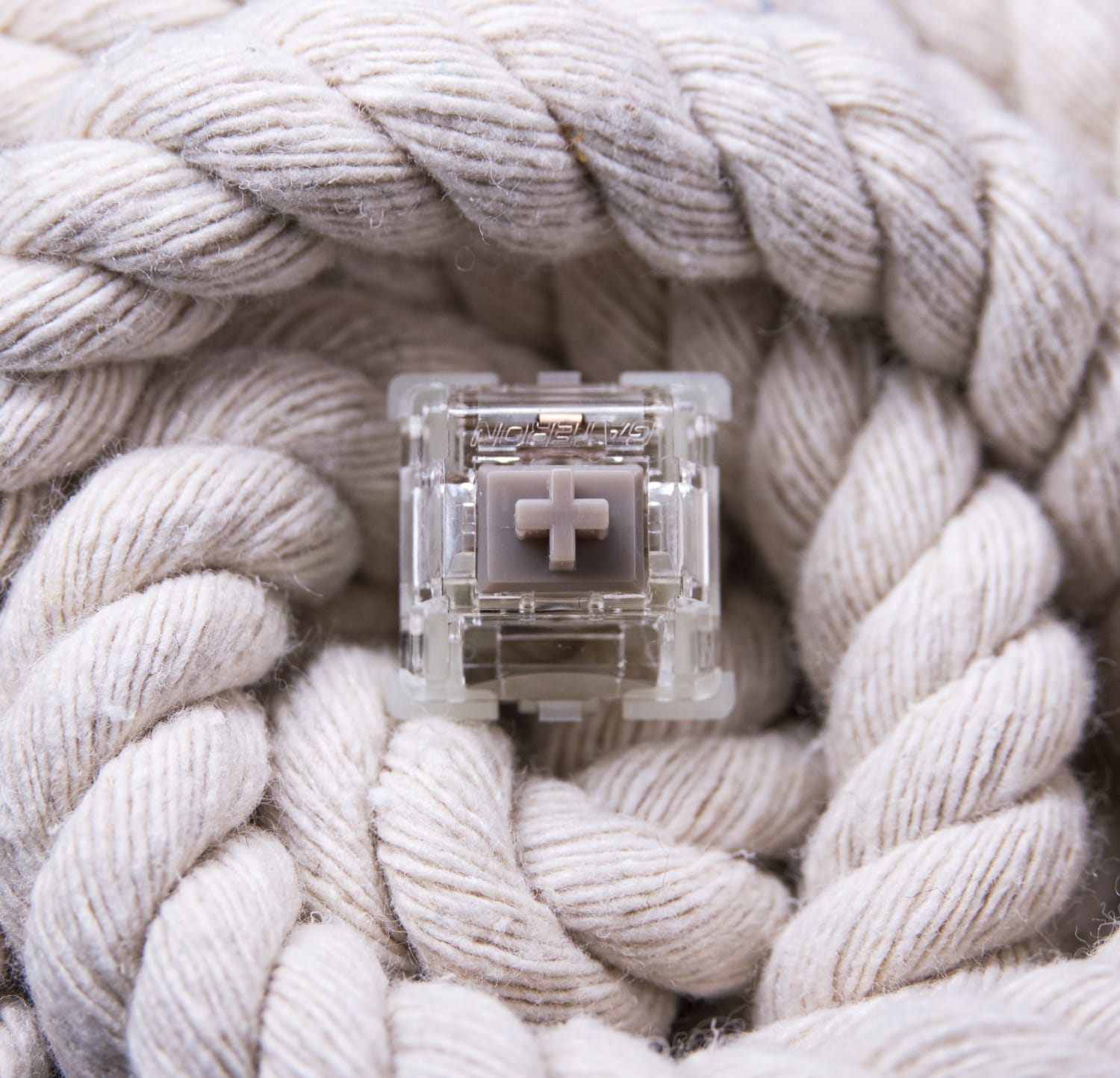 Gateron Baby Raccoon Linear Switches | Kinetic Labs