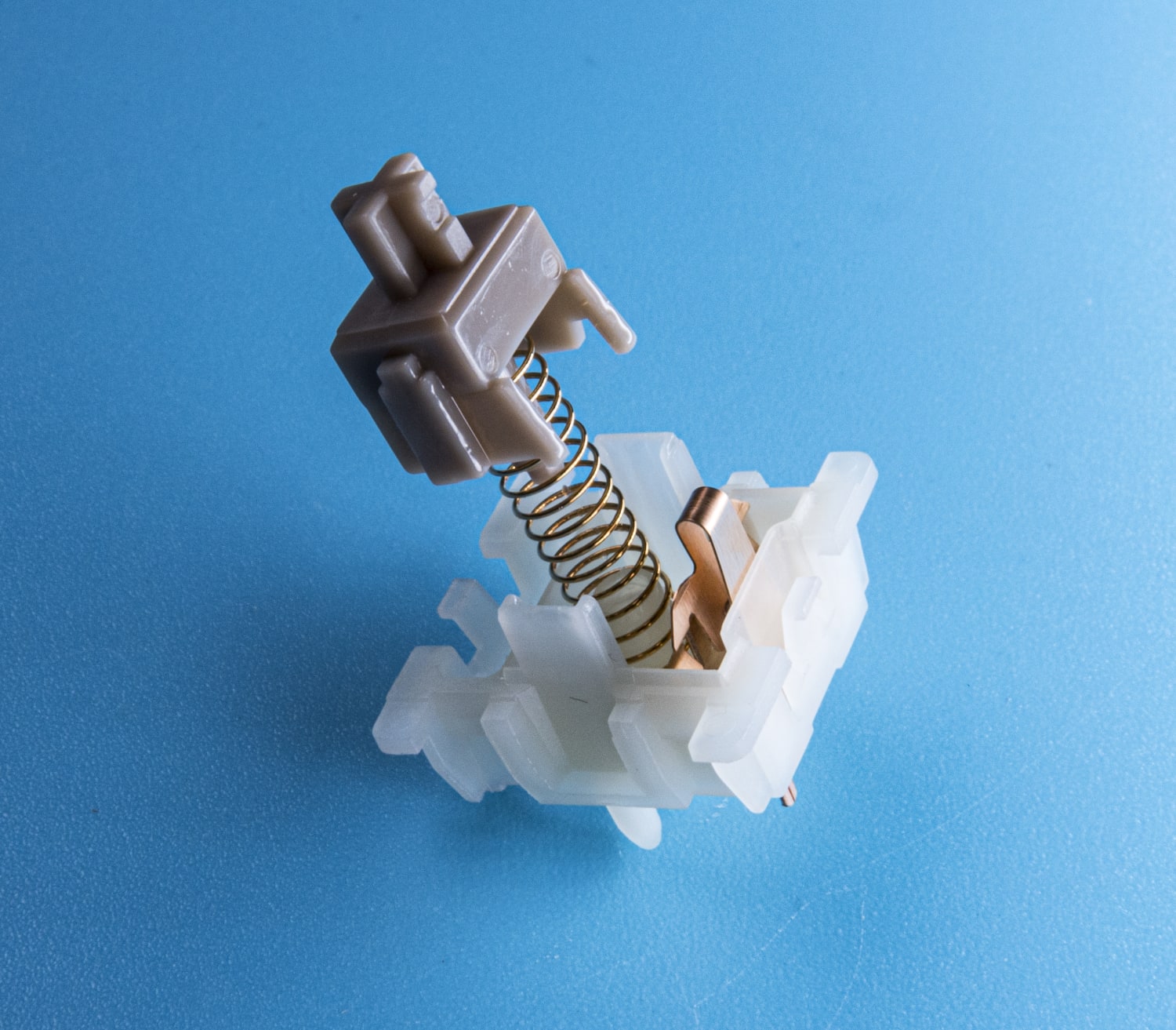 Gateron Baby Raccoon Linear Switches | Kinetic Labs