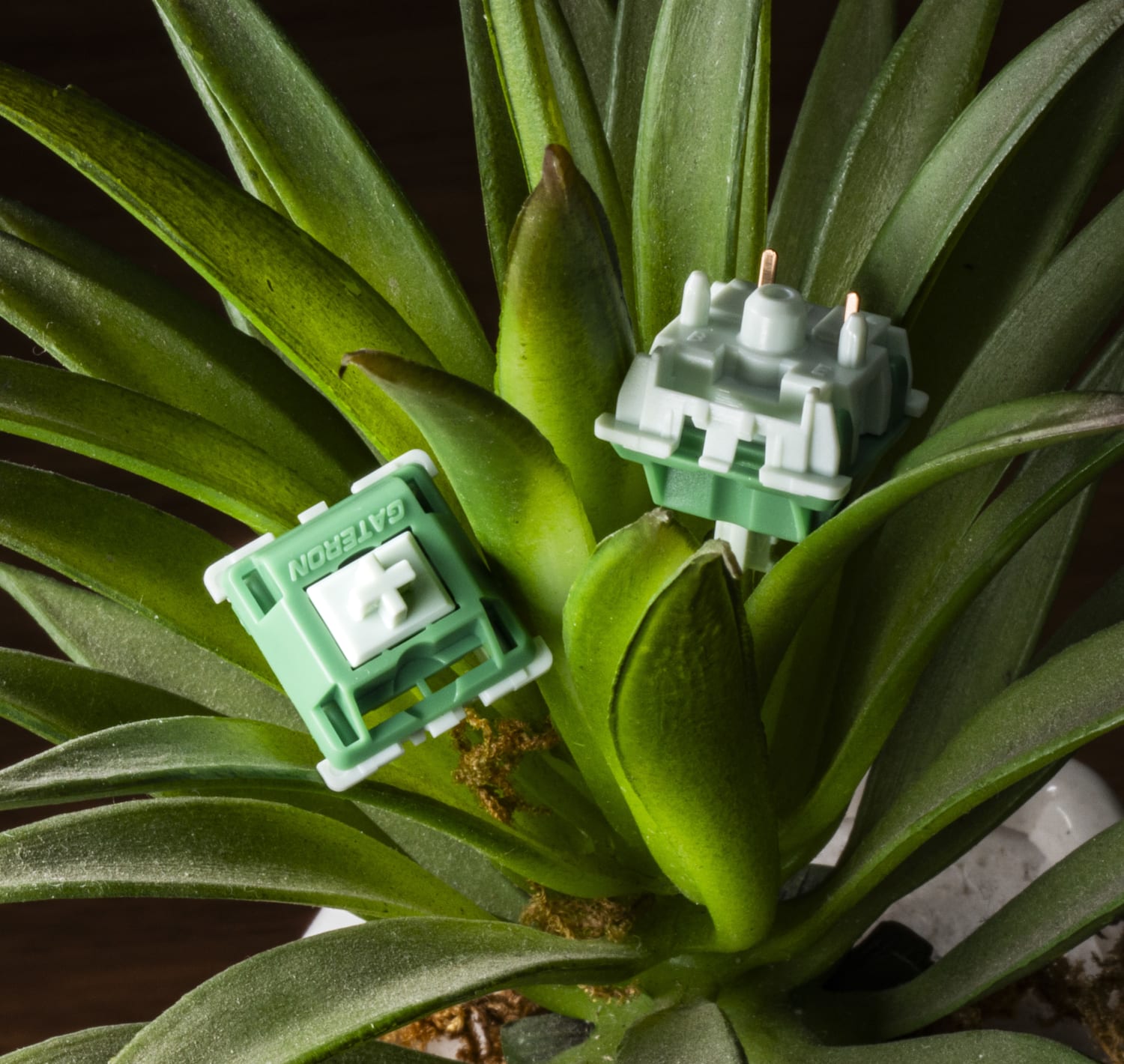 Gateron Green Apple Tactile Switches | Kinetic Labs