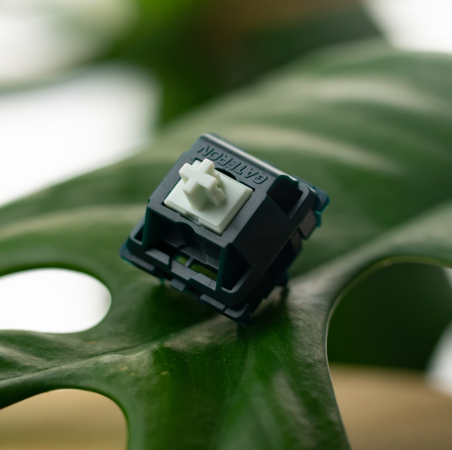 Gecko Silent Linear Switches Labs