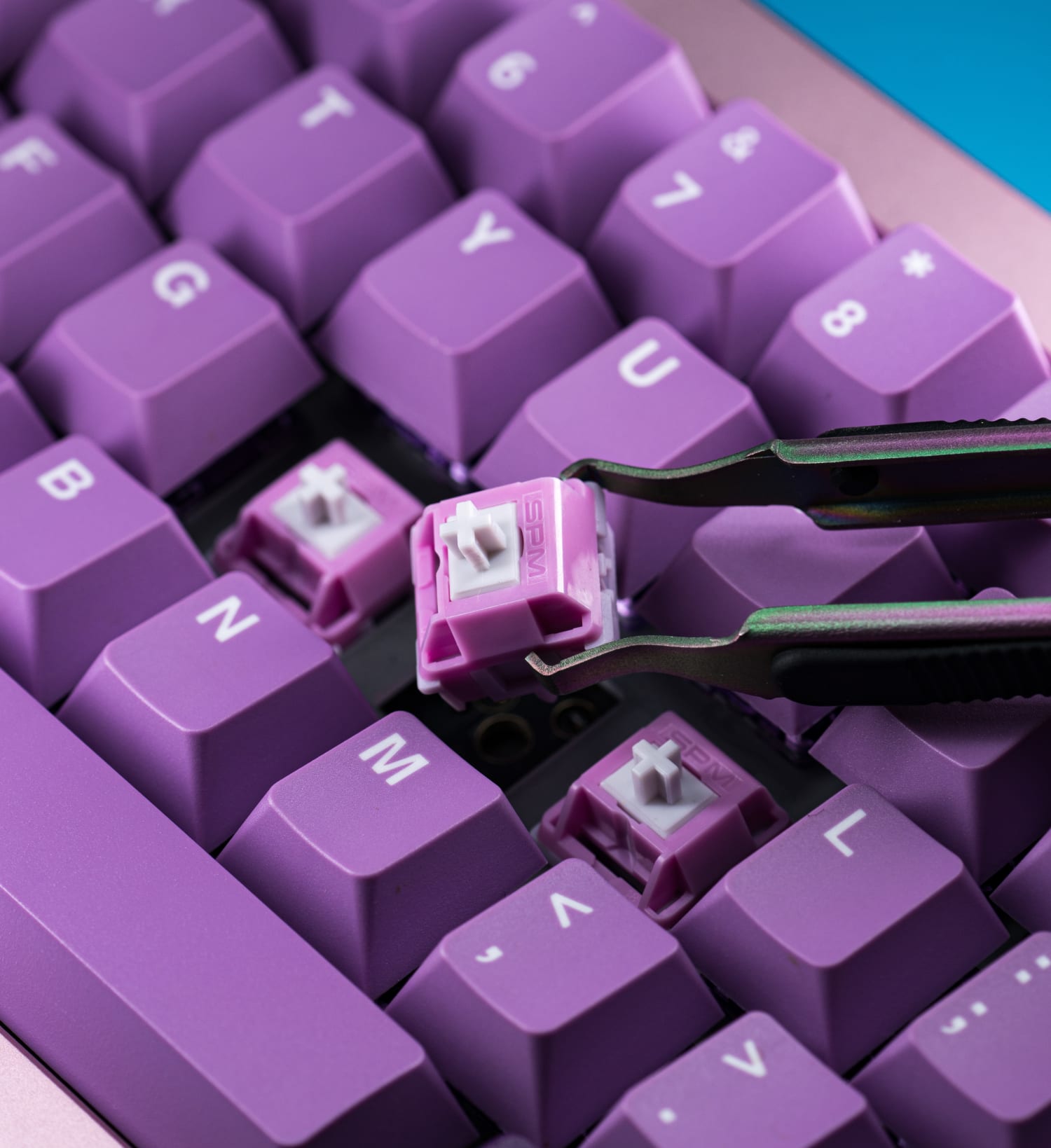 HMX Hibiscus Linear Switches | Kinetic Labs