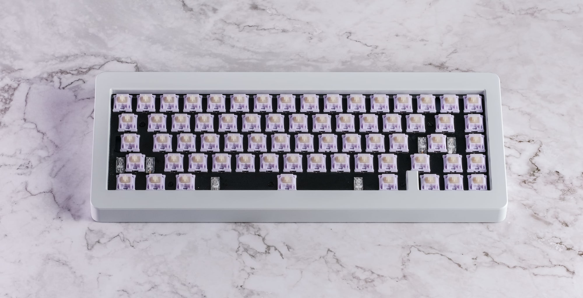 Hippo Switches on 65% Keyboard