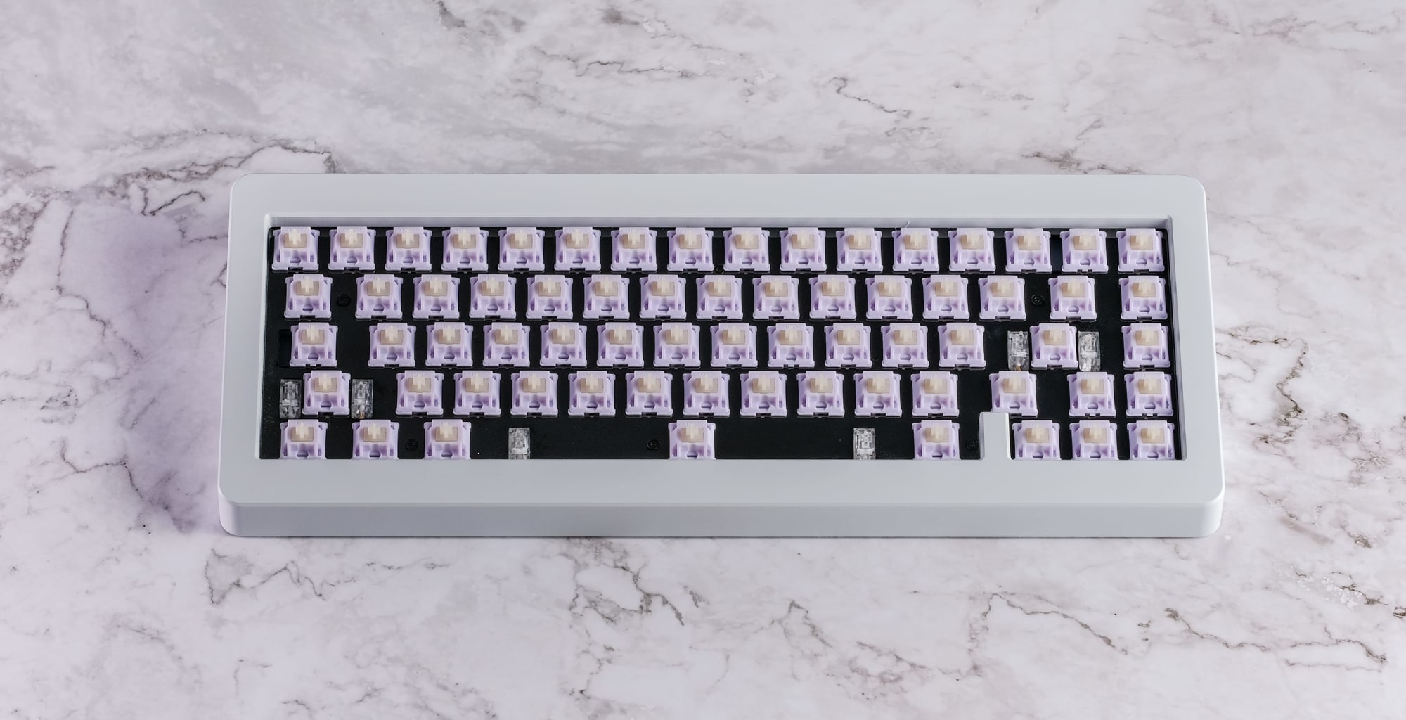 Hippo Switches on 65% Keyboard