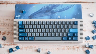 What Are PolyCaps PBT Keycaps?